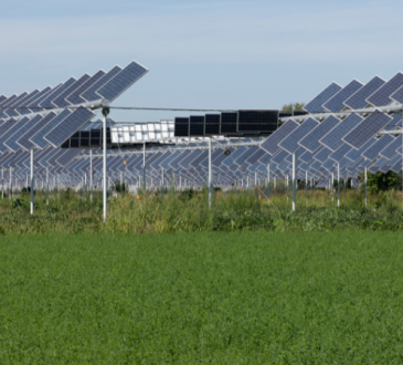 Agrivoltaico: energia solare e agricoltura per un futuro sostenibile