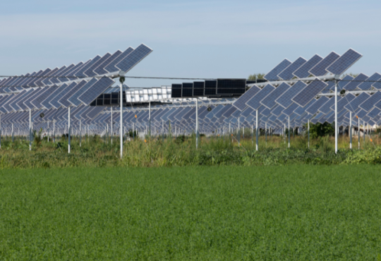 Agrivoltaico: energia solare e agricoltura per un futuro sostenibile