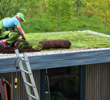 Cinque diverse tipologie di tetti verdi e come stanno cambiando il modo di progettare le città